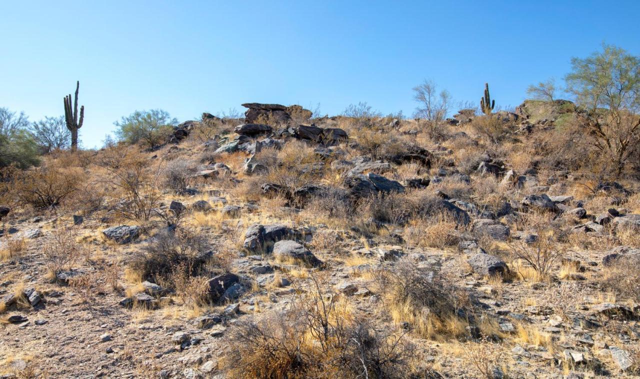 Raintree At Phoenix South Mountain Preserve Экстерьер фото